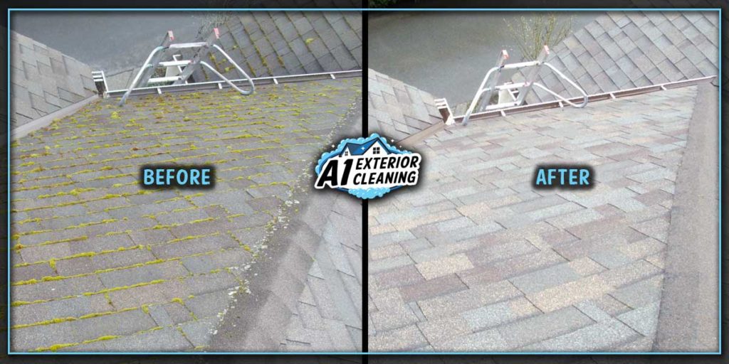 Avoid the hassle of roof damage with our eco-friendly moss removal & treatment.