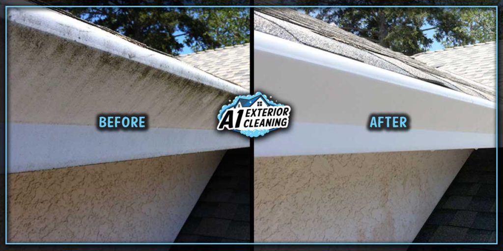 Freshly washed gutters can revitalize a house and keep it looking its best.