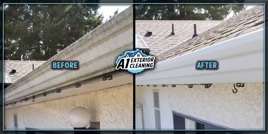At A1, we can maximize your curb appeal and revitalize your gutters using only water.