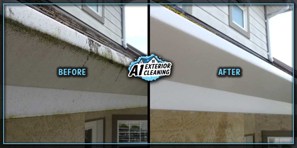 Regular gutter cleaning prevents unsightly staining and discolouration.