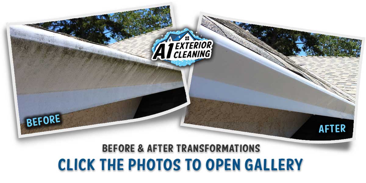 A1 EXTERIOR CLEANING - EXTERIOR GUTTER CLEANING B&A