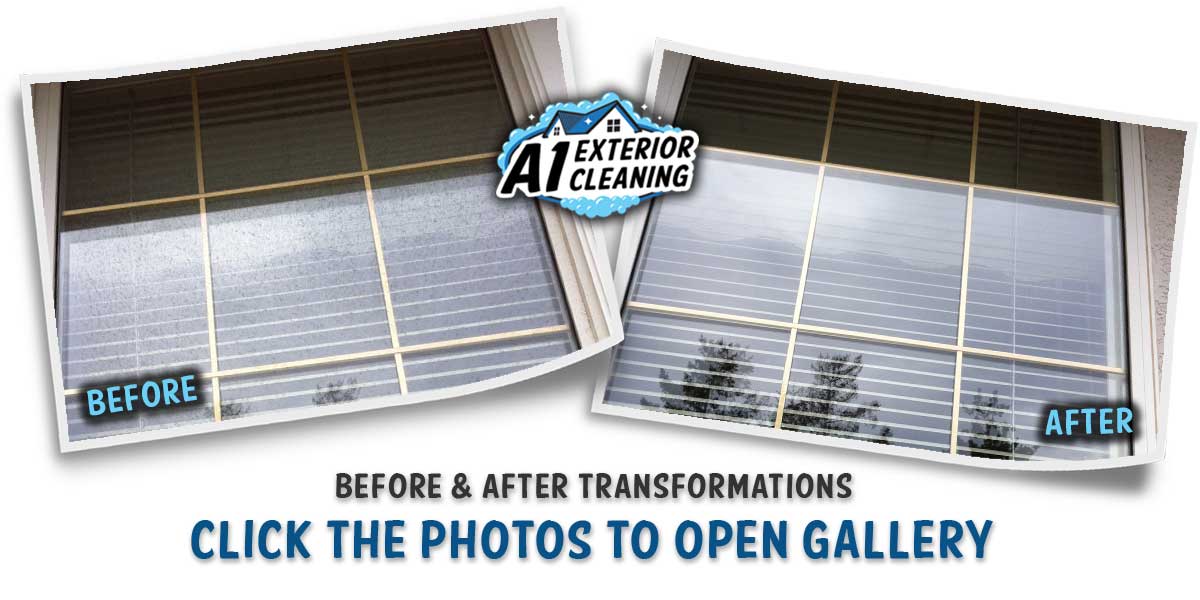 A1 EXTERIOR CLEANING - WINDOW DETAIL B&A A1 EXTERIOR CLEANING - WINDOW DETAIL B&A