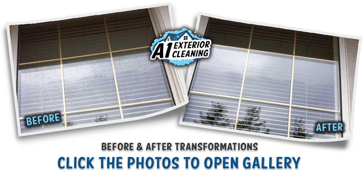 A1 EXTERIOR CLEANING - WINDOW DETAIL B&A