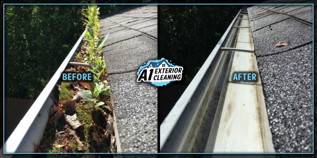 If plants are growing in your gutters, it might be time to get them cleaned.